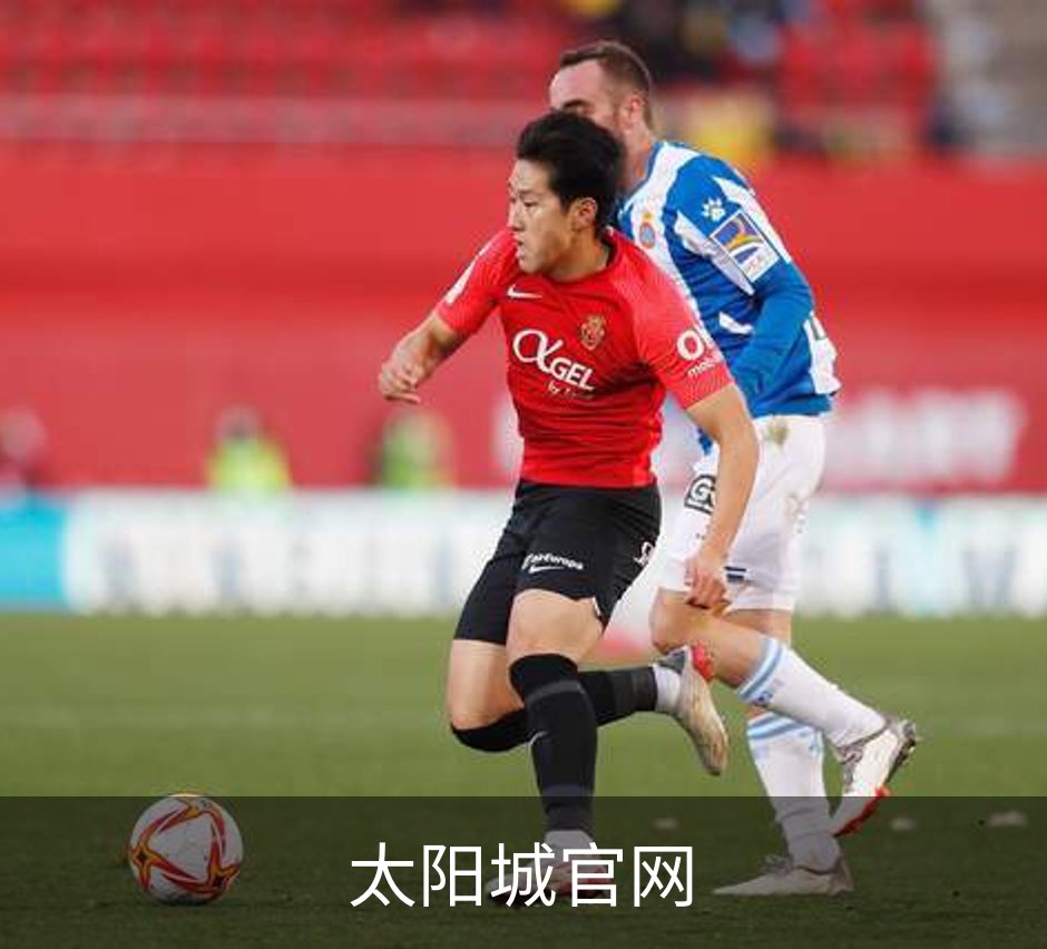 关于太阳城官网
